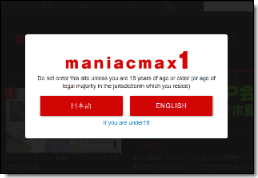 マニアックマックス1サイトイメージ