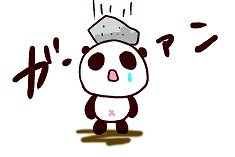 オリジナル動画の充実度